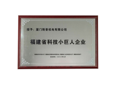 “little Giant” Firms