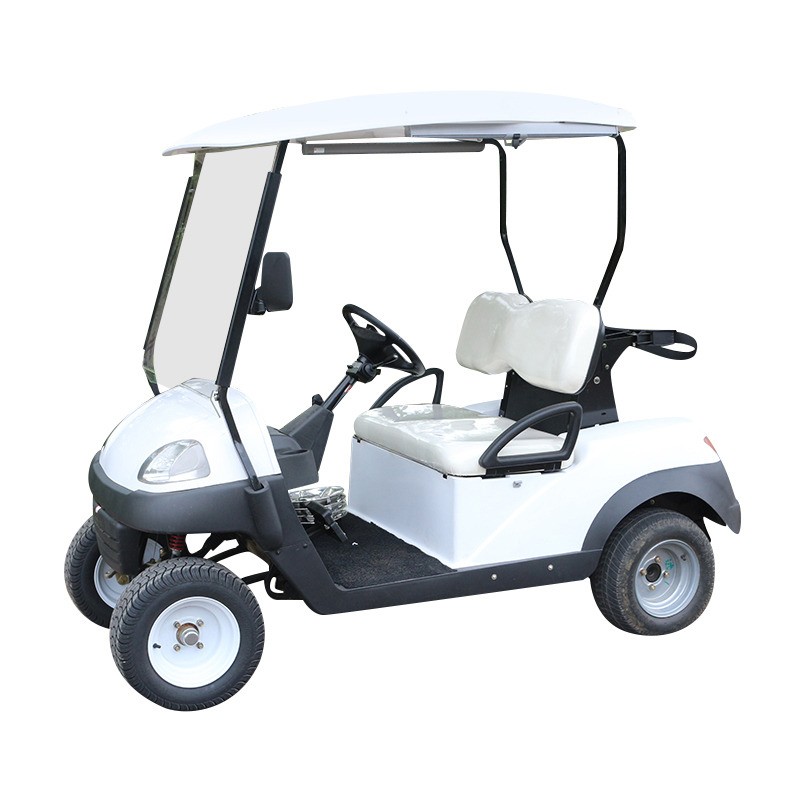 Hyundai electric online golf cart