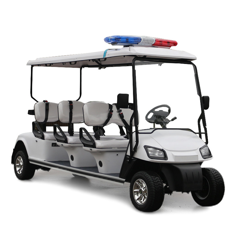 6 Passenger Police Patrol Vehicle