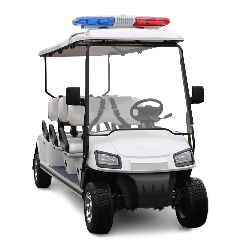 6 Passenger Police Patrol Vehicle