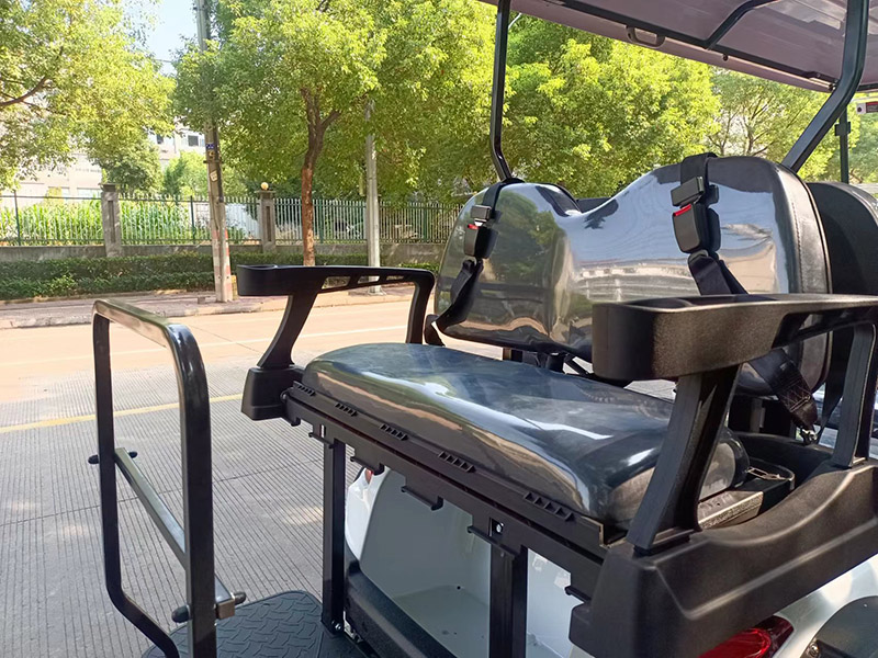 Golf Cart 2in1 Rear Seat