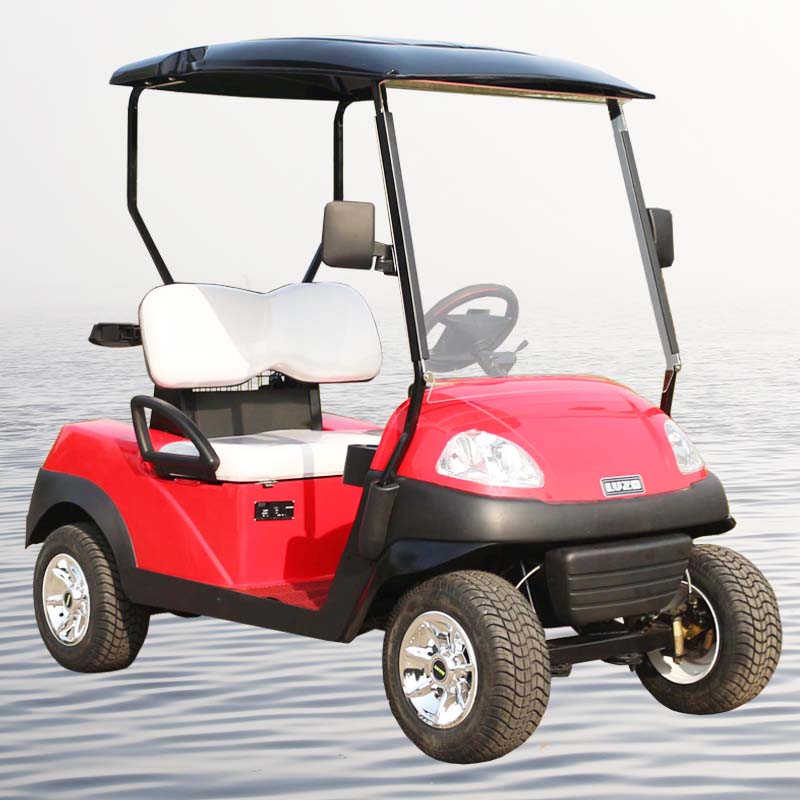 2seat golf cart