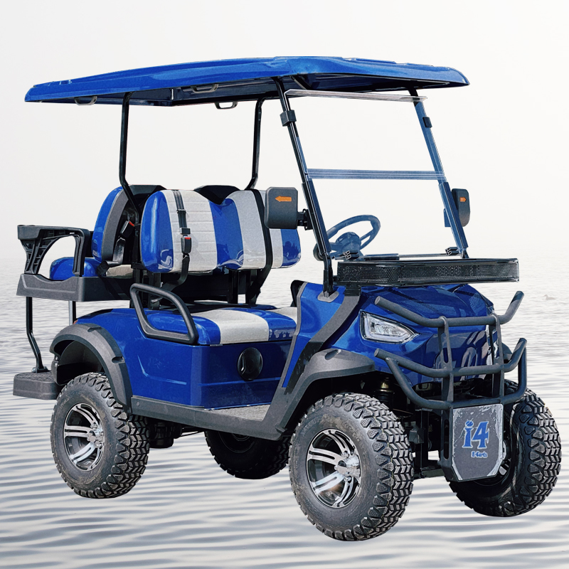 Hot sale sales48v lithium battery golf cart with 2in1 rear seat