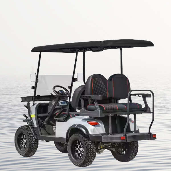 Braço oscilante duplo, suspensão dianteira independente, carro elétrico de luxo, carro turístico, carrinho de golfe de praia de 6 lugares