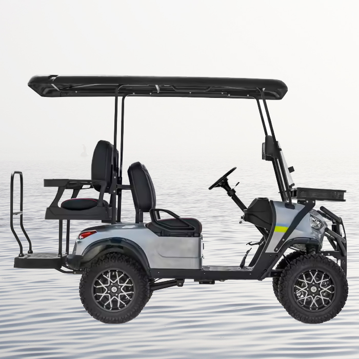 Braço oscilante duplo, suspensão dianteira independente, carro elétrico de luxo, carro turístico, carrinho de golfe de praia de 6 lugares