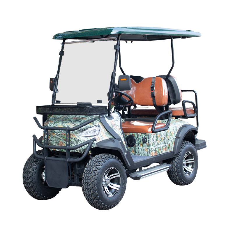 Braço oscilante duplo, suspensão dianteira independente, carro elétrico de luxo, carro turístico, carrinho de golfe de praia de 6 lugares