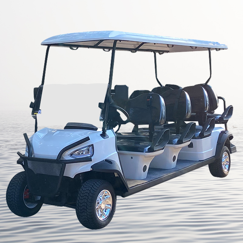 LVZO novo carrinho de golfe elétrico com carga