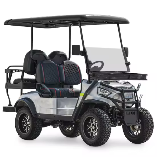 LVZO novo carrinho de golfe elétrico com carga