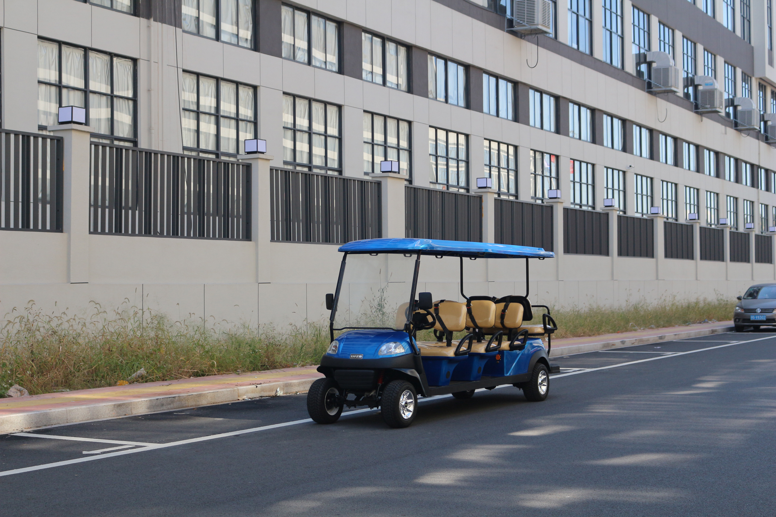 six seater golf cart