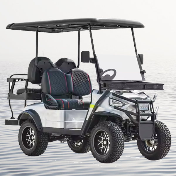 Veículos elétricos econômicos do carrinho de golfe de 2/4/6 lugares com certificado do CE carrinho de golfe elétrico moderno para adultos