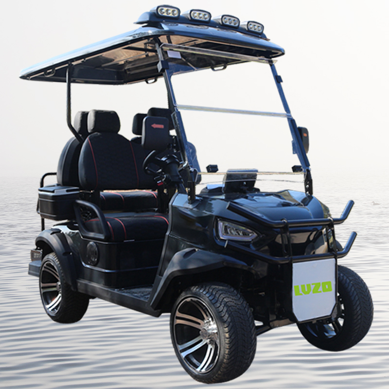 Veículos elétricos econômicos do carrinho de golfe de 2/4/6 lugares com certificado do CE carrinho de golfe elétrico moderno para adultos