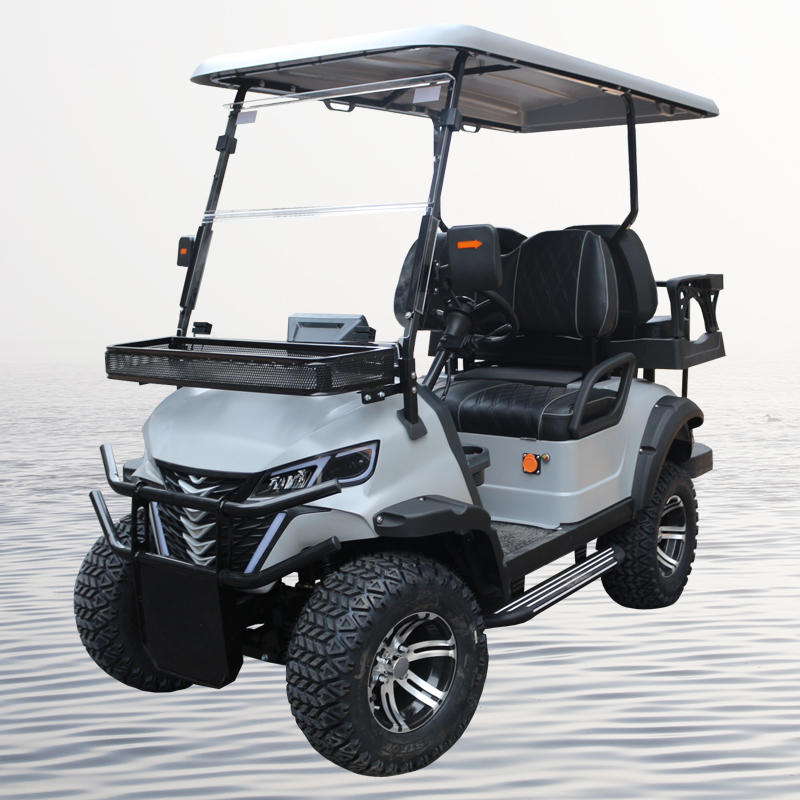 Hot-selling hoogwaardige dubbele elektrische golfkar met hoog uithoudingsvermogen en Ce-certificering