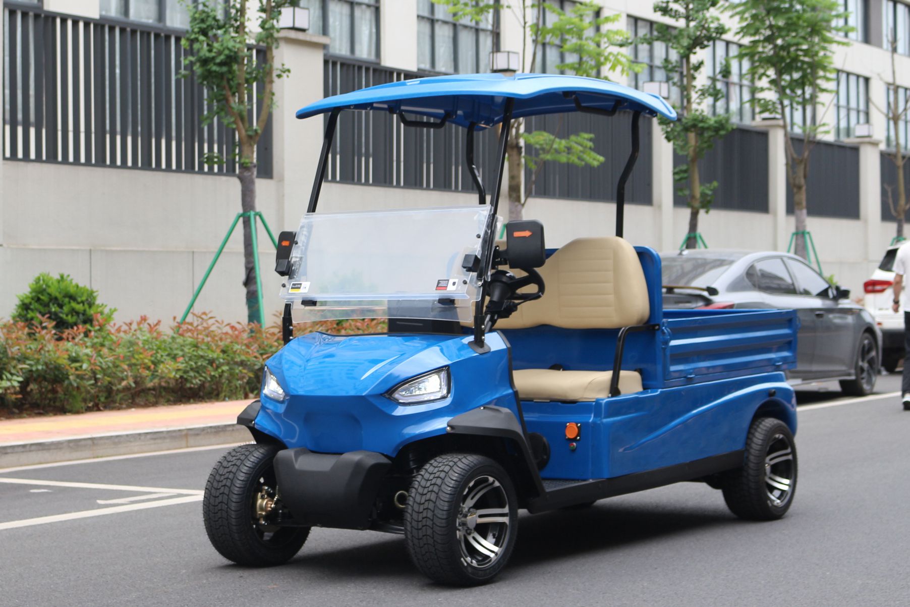 Electric cargo golf cart