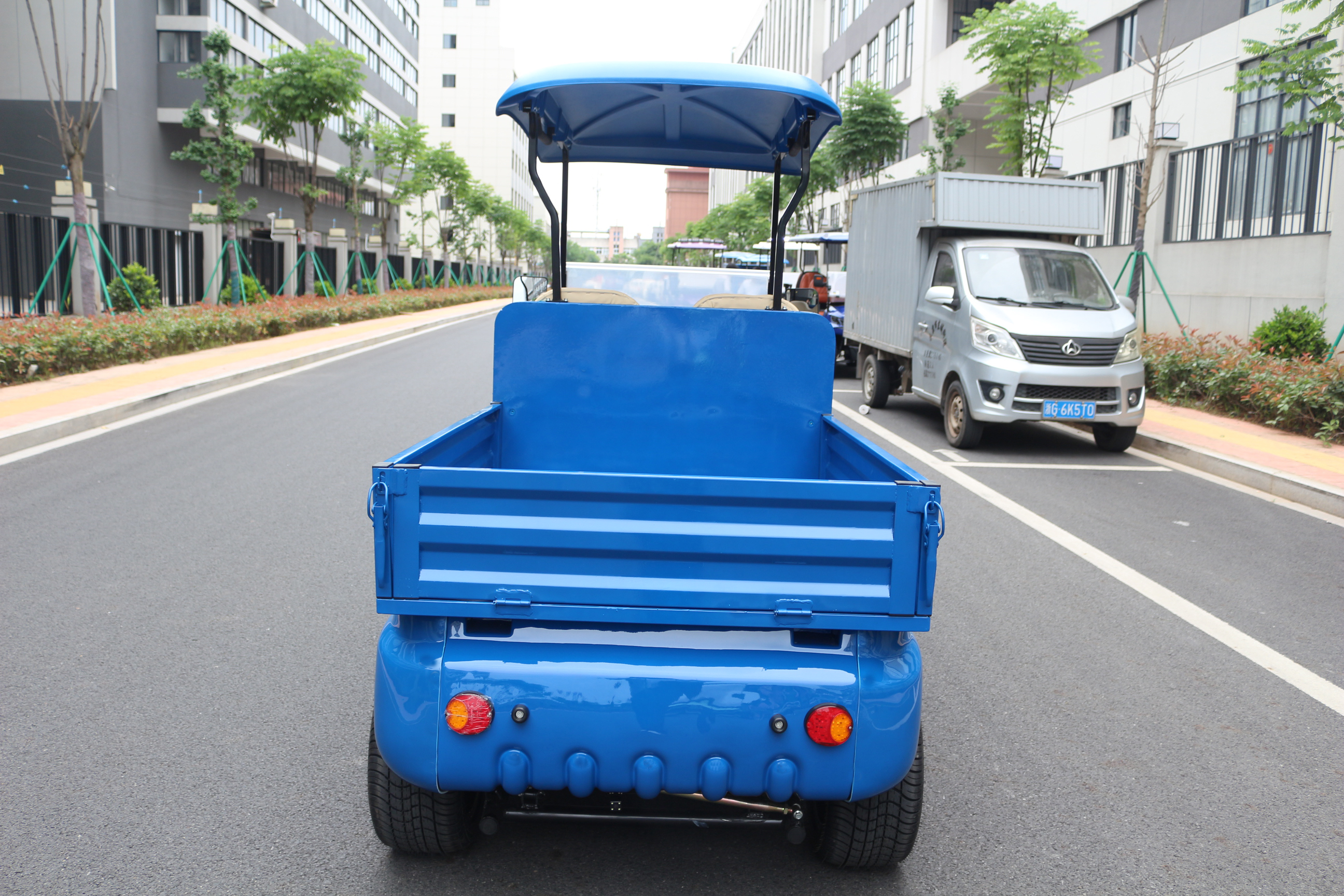 Electric cargo golf cart