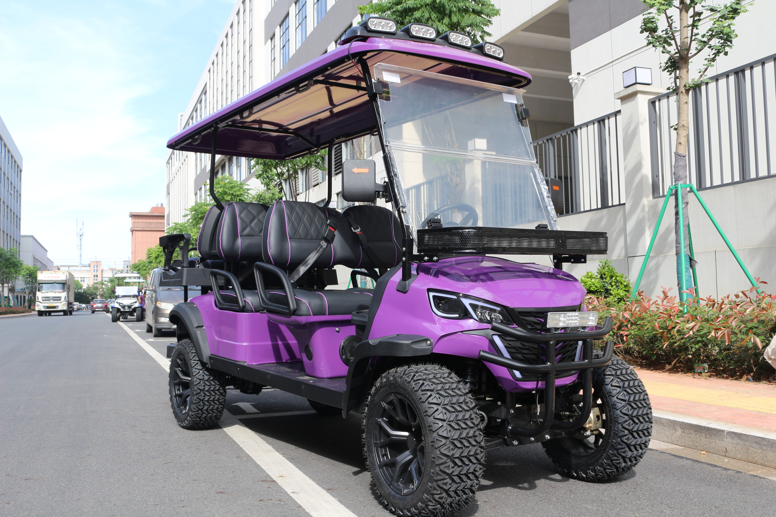 lithium battery golf cart