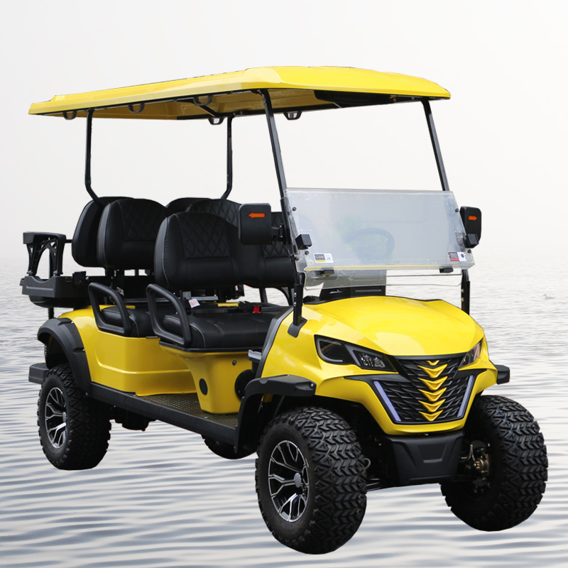 48v lithium battery golf cart China supplier