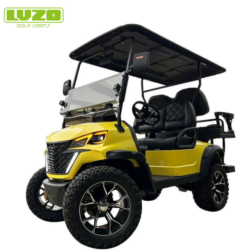 48v lithium batterij golfkar China leverancier