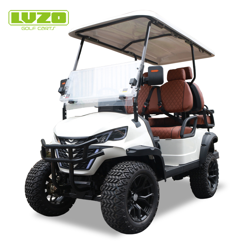 48v lithium batterij golfkar China leverancier