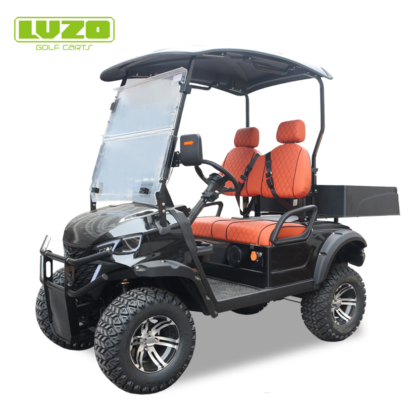 Elektryczny wózek golfowy zasilany energią słoneczną/buggy/pojazd/skuter/ATV/UTV/ETV mały/mini używany samochód wyprodukowany w Chinach