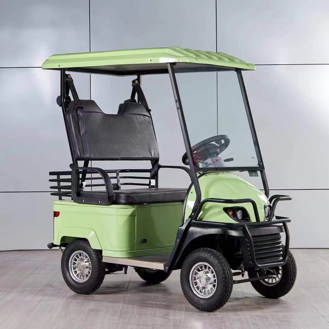 Mini elektrische golfkar/tourbus voor vier krachtige volwassenen