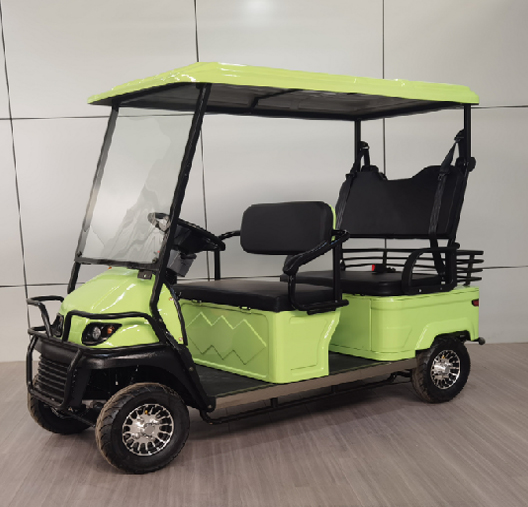 Mini elektrische golfkar/tourbus voor vier krachtige volwassenen
