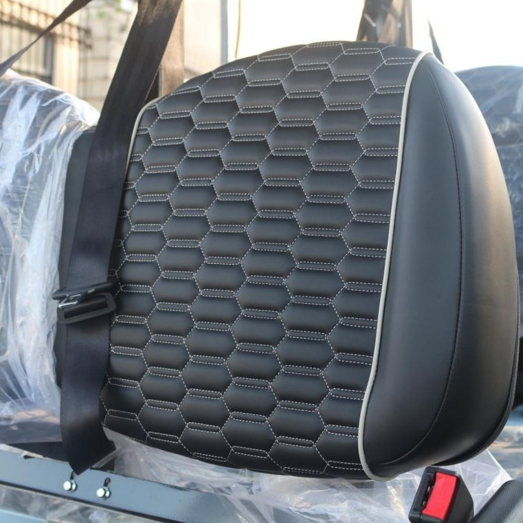 LVZO Attractive Ultra-Comfort Premium Electric Golf Cart with Extended Range
