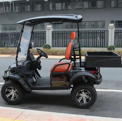 Excellent Electric Golf Cart with Foldable Storage Box & Innovative Design Suitable for Farm and Outdoor Activity