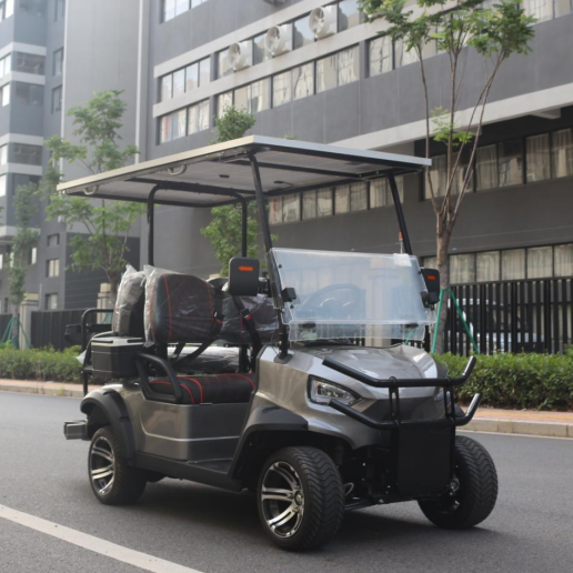 LVZO Brand Weatherproof Electric Maintenance Cart for Urban Parks