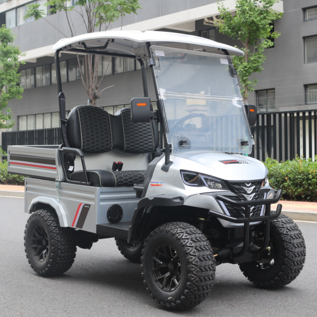 LVZO Premium Electric Golf Cart with Removable Rear Cargo Tray for Versatile Loading