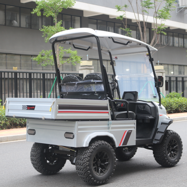 All-Weather Golf Cart Featuring Waterproof Cargo Compartment for Reliable Transport