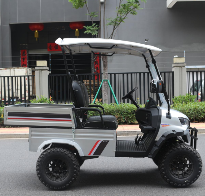 Luxury Foldable Cargo Golf Cart for Space-Efficient Outdoor Adventures