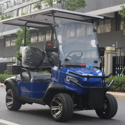 LVZO Brand Multipurpose Electric Golf Cart with Solar Roof & Rear Cargo Space