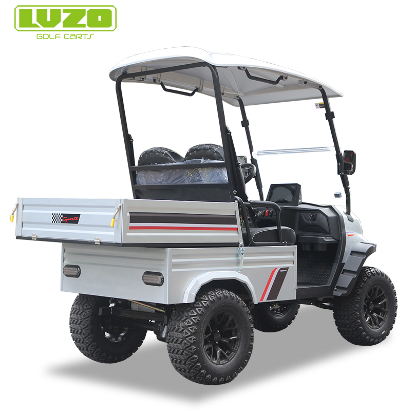 Adaptive Golf Cart Featuring Dual-Purpose Rear Storage for Golf & Everyday Use