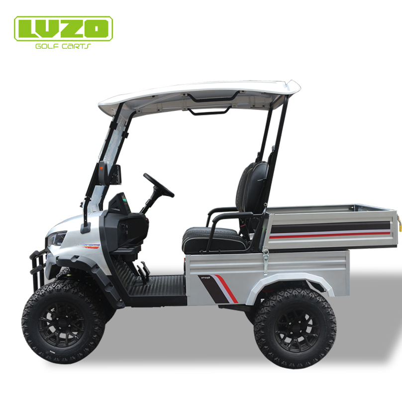 Adaptive Golf Cart Featuring Dual-Purpose Rear Storage for Golf & Everyday Use