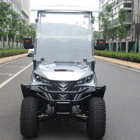 Adaptive Golf Cart Featuring Dual-Purpose Rear Storage for Golf & Everyday Use