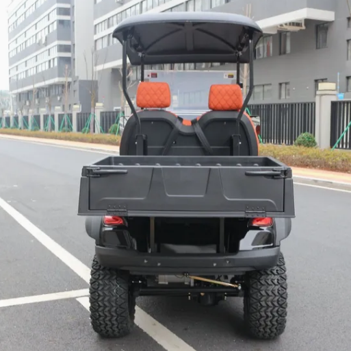Adaptive Golf Cart Featuring Dual-Purpose Rear Storage for Golf & Everyday Use