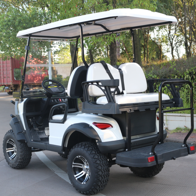 Golf Cart with Easy-to-Use Controls and Safety Features by LVZO