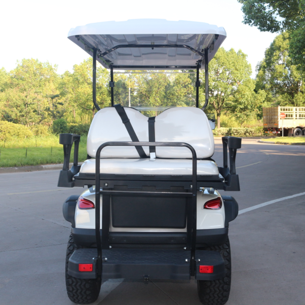Golf Cart with Easy-to-Use Controls and Safety Features by LVZO