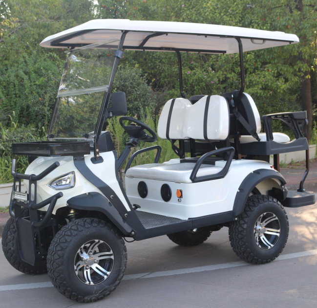 Golf Cart with Easy-to-Use Controls and Safety Features by LVZO