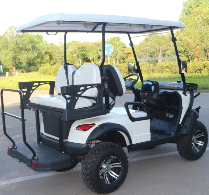 LVZO Golf Cart: Low Maintance and Environmentally Friendly