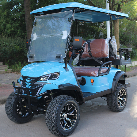 Recreational Electric Vehicle (REV) with Folding Windshield