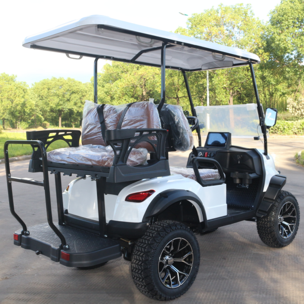 LVZO All-Weather Golf Cart with LED Headlights & Colorful appearance