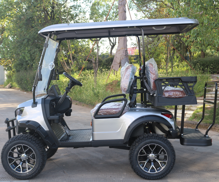Tourist Sightseeing Cart for Heritage Sites & Campuses