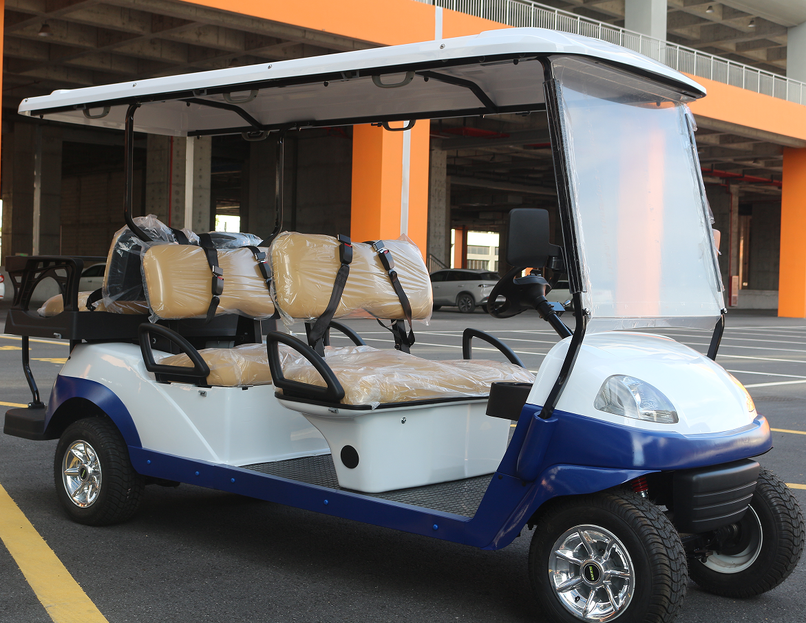 Versatile Electric Cart for Sightseeing & Daily Transport
