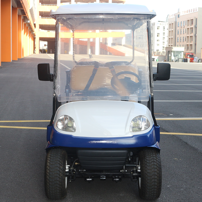 Versatile Electric Cart for Sightseeing & Daily Transport