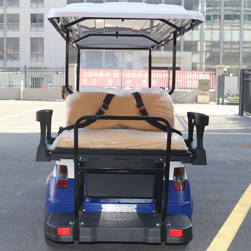 Versatile Electric Cart for Sightseeing & Daily Transport