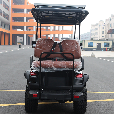 Club Pro Series: Golf Cart with Customizable Color Options & Seat Configurations