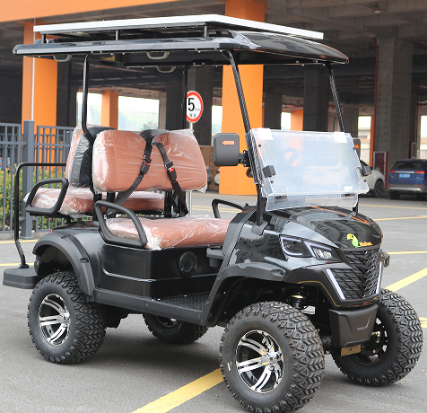 All-Season Golf Cart: Weather-Resistant Top & Heated Seats (Optional)