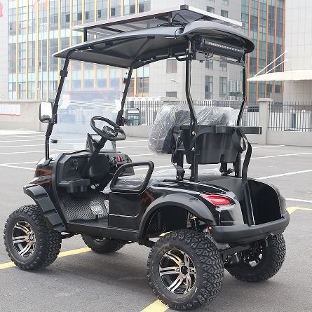 Easy-Maintenance Electric Cart: Low Running Costs & Long Lifespan