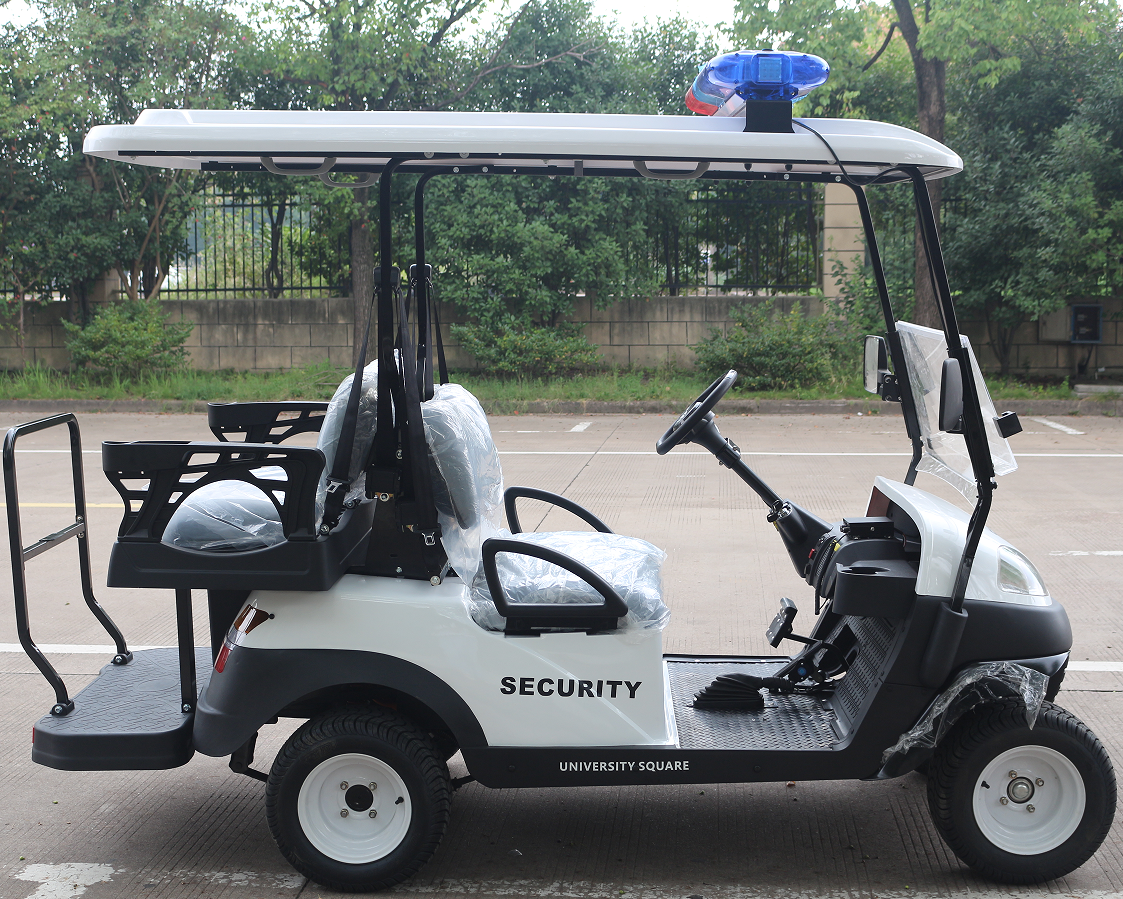 LVZO 2-Passenger Sporty Golf Cart - Compact & Agile